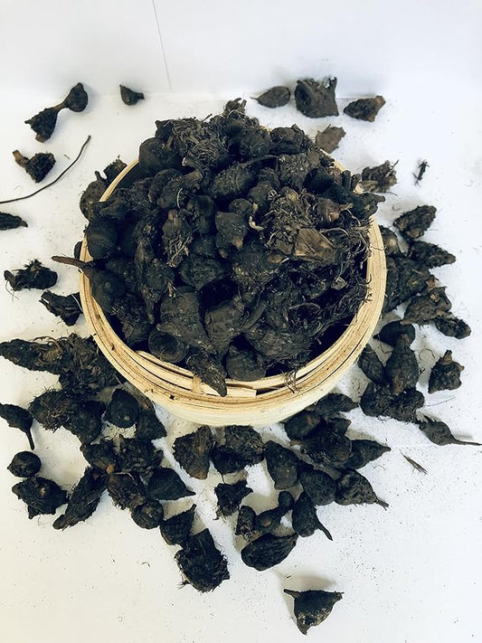 100 g – Gowé – Gueni – Cyperus Rotundus – Pour infusion, soins et encens traditionnels