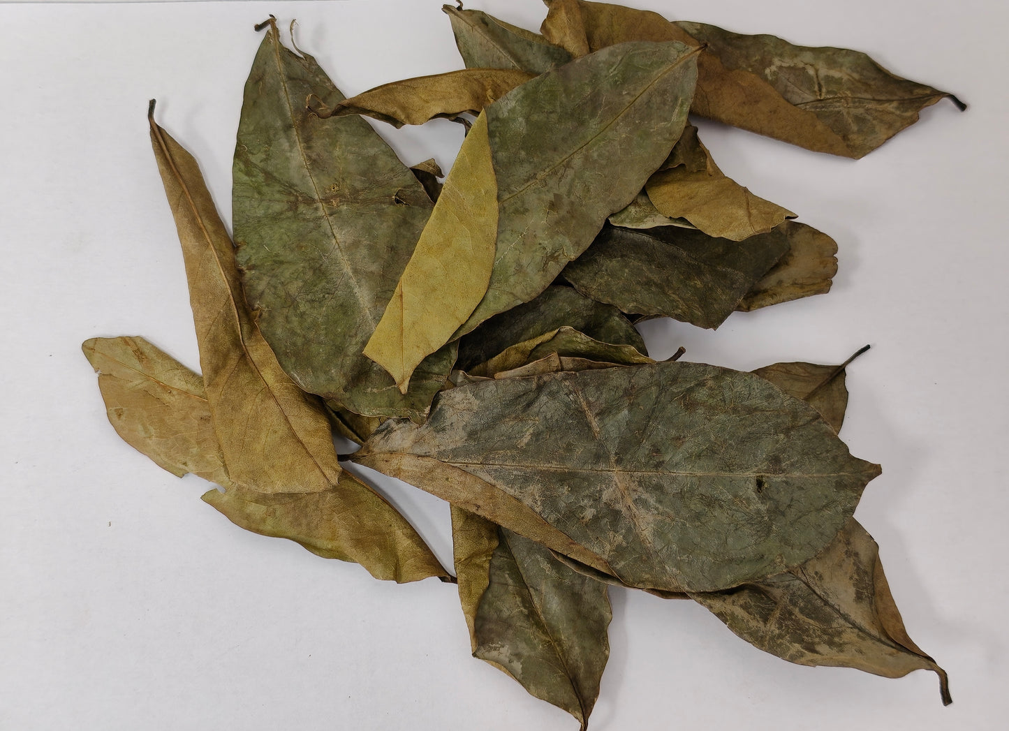 30g – Feuilles de Corossolier séchées – Annona muricata – Sélection Jio nature – Sachet refermable