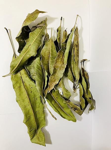 30 g – Feuilles de manguier séchées – 100% naturelles – Pour infusion & soins