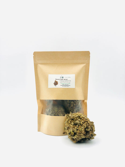 30 g – Plante Coller Serrer – Odeur originale très prononcée