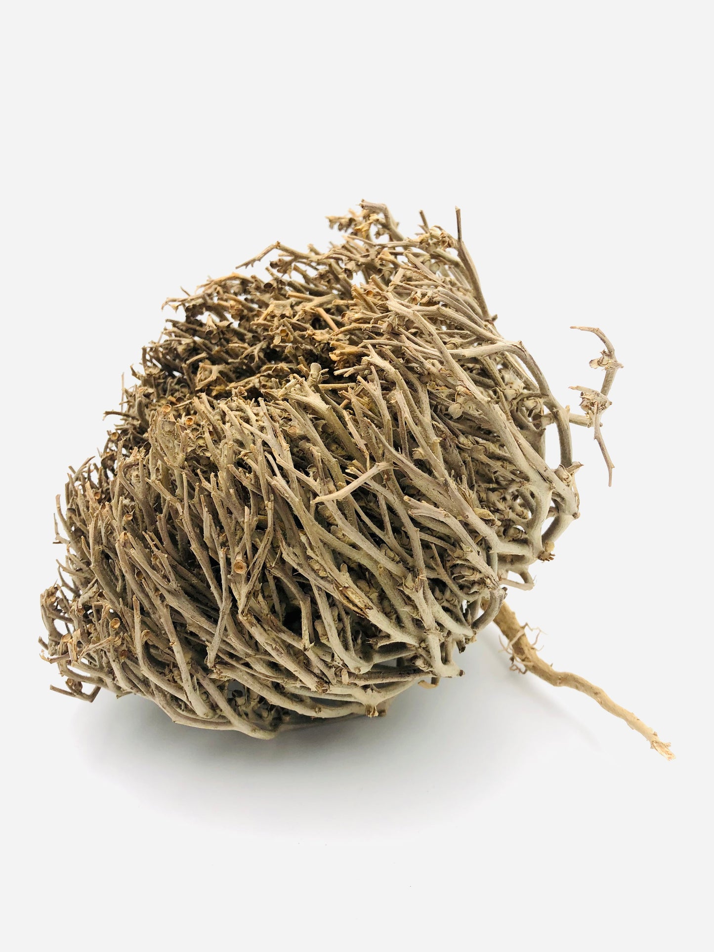 50 g – Rose de Jéricho – Odeur Originale Très prononcée