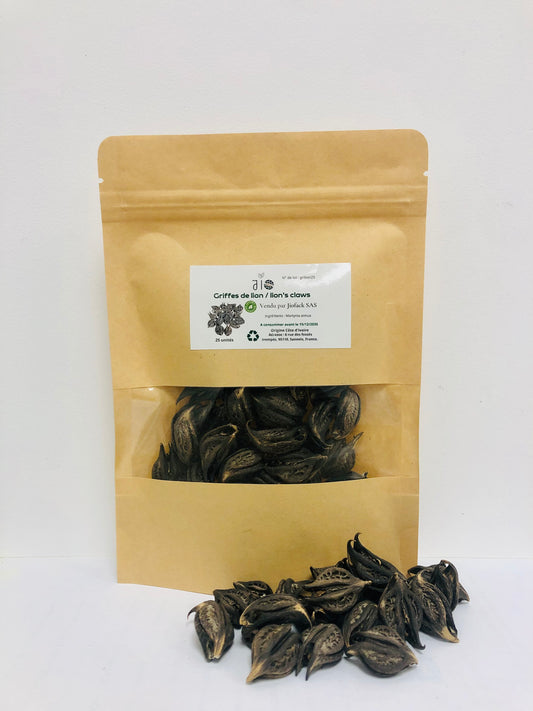 25 Unités - Griffes de Lion Séchées - Bicorne - Warabassoni, Produit 100% Naturel