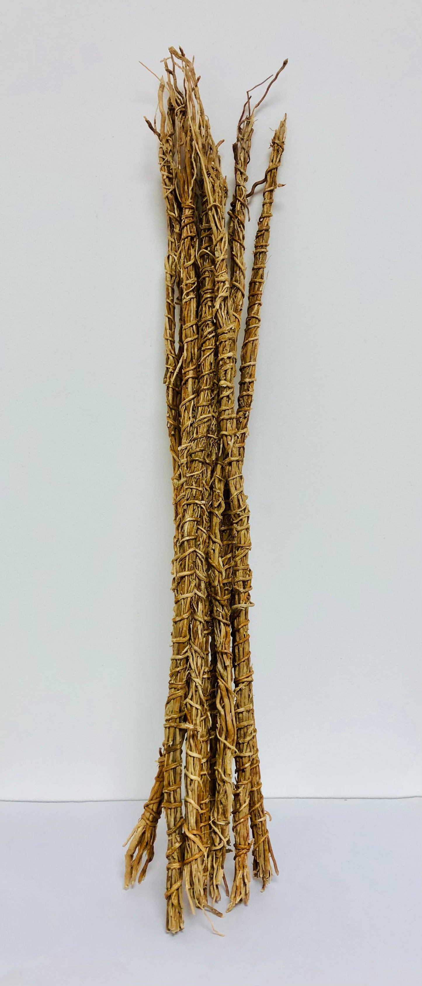 Khamaré – Racines de Vétiver – Sèpp – Gongolili – 10 unités (Grandes tiges 40 à 45 cm)